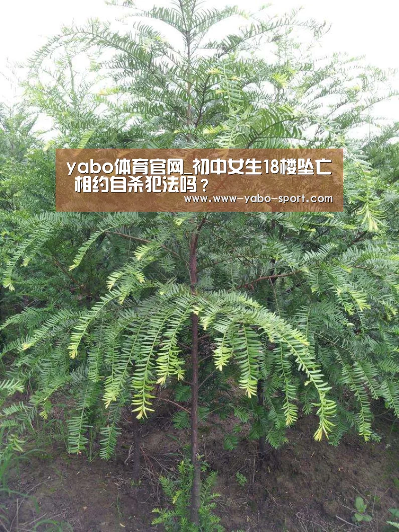 yabo体育官网_初中女生18楼坠亡 相约自杀犯法吗？